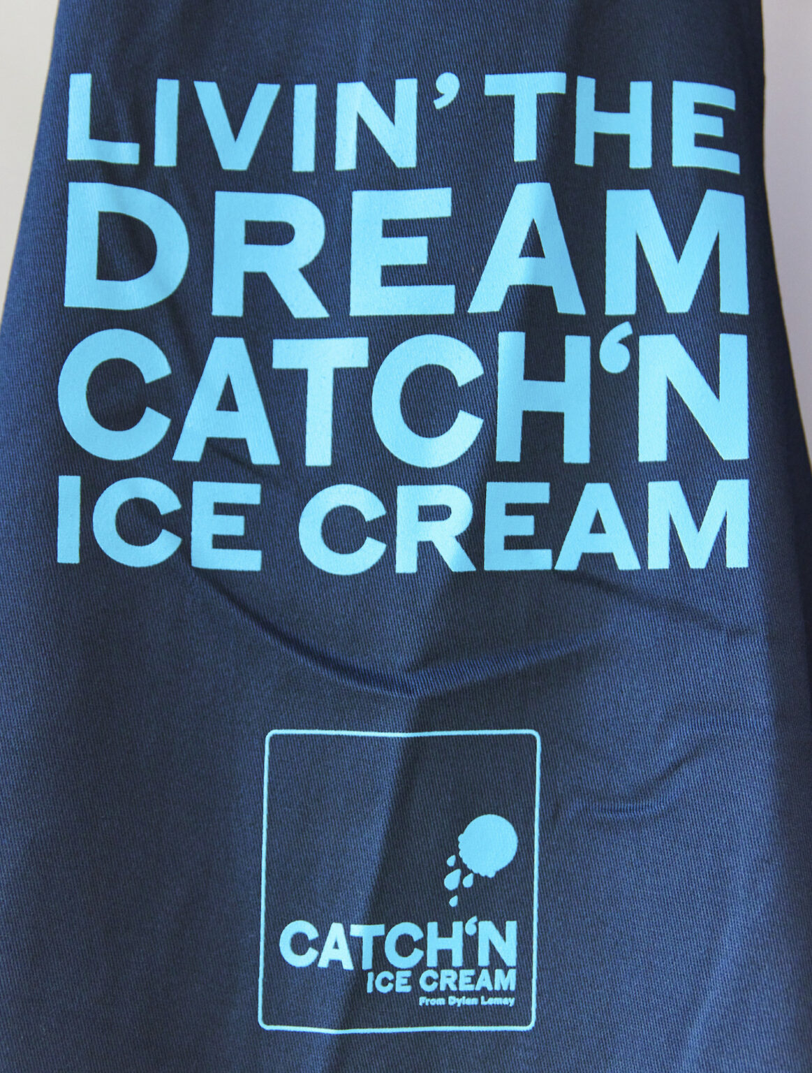 Playful Branding Retail Design For Catch n Ice Cream By Dylan LeMay 