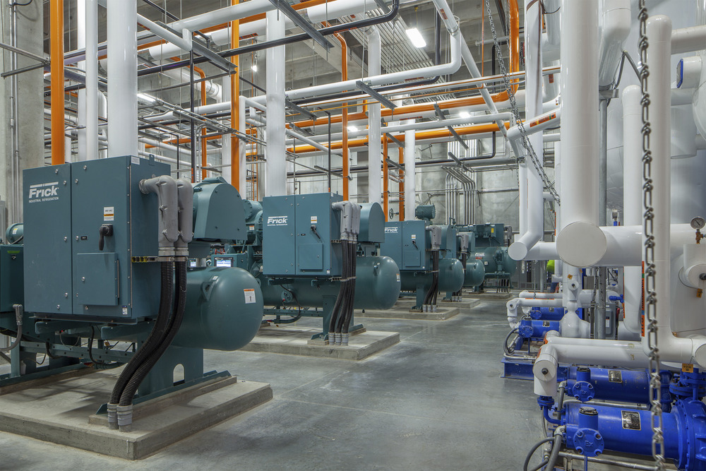 Poultry Processing Plant