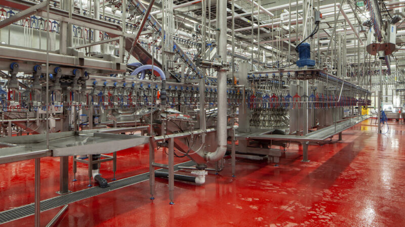 Poultry Processing Plant