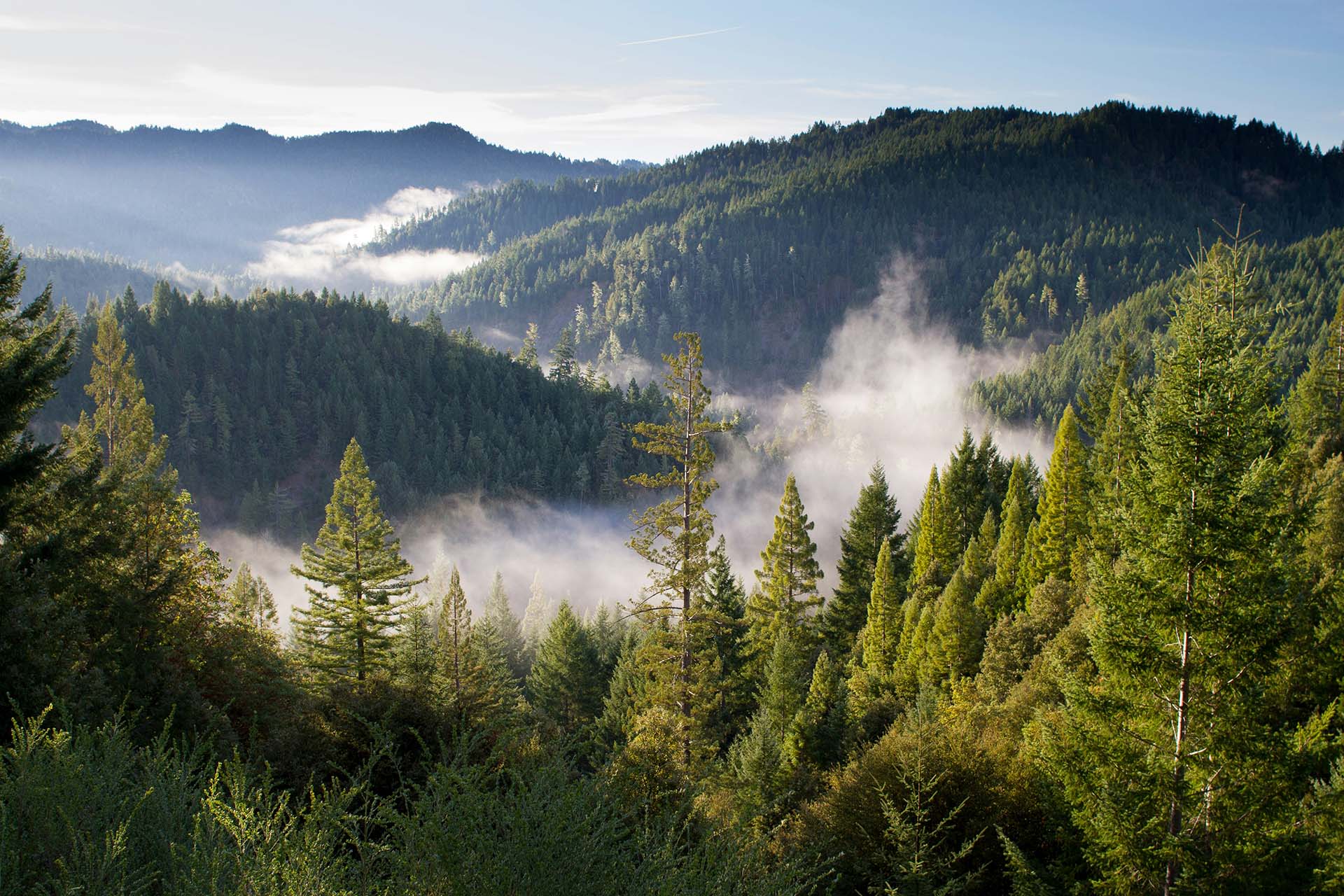 MG2 Publishes Sustainability Impact Report